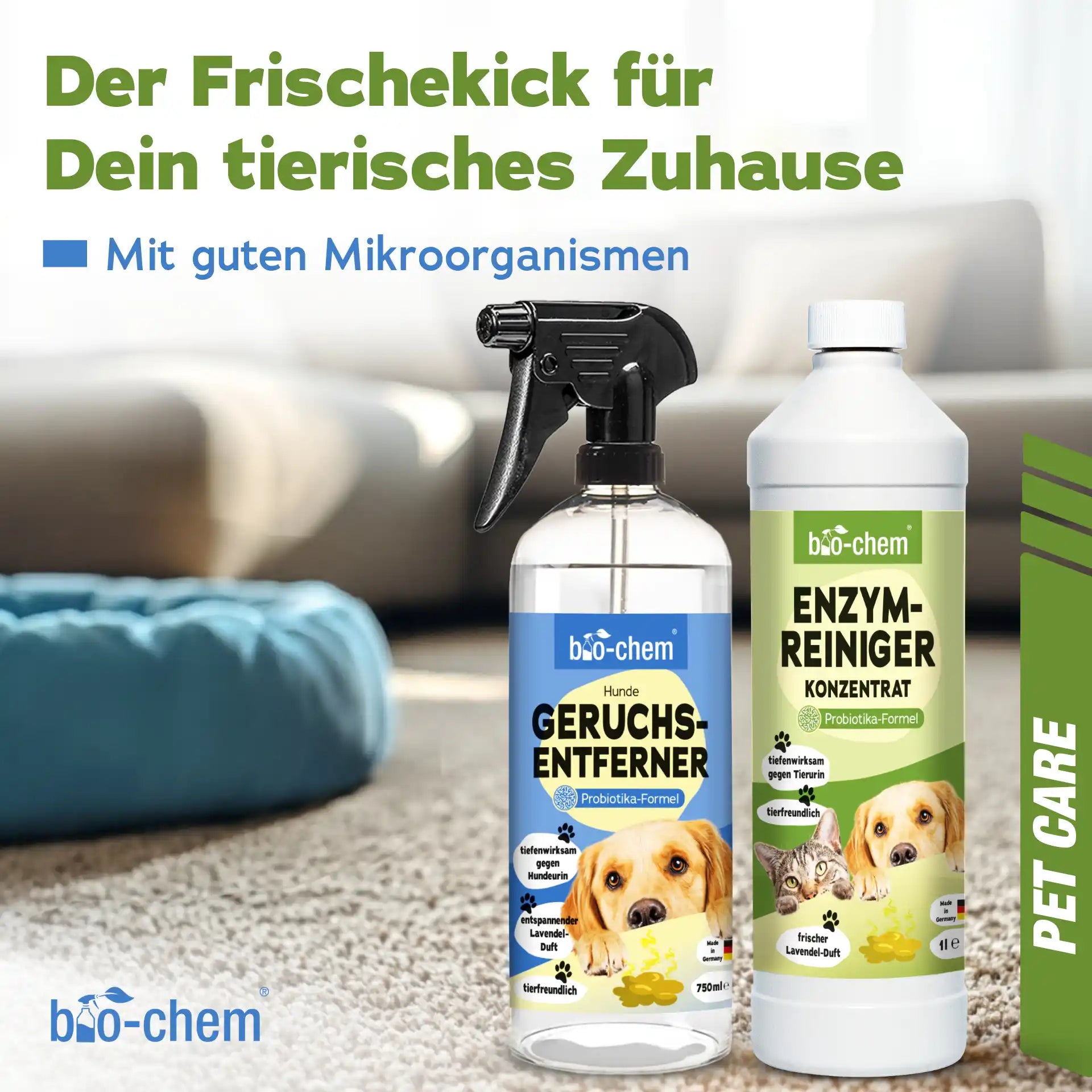 Enzymreiniger + Geruchsentferner Hund (2-teilig)
