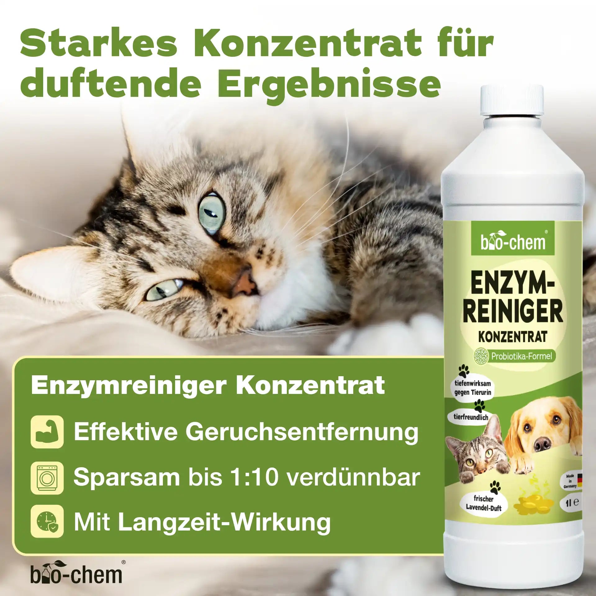 Enzymreiniger + Geruchsentferner Katze (2-teilig)
