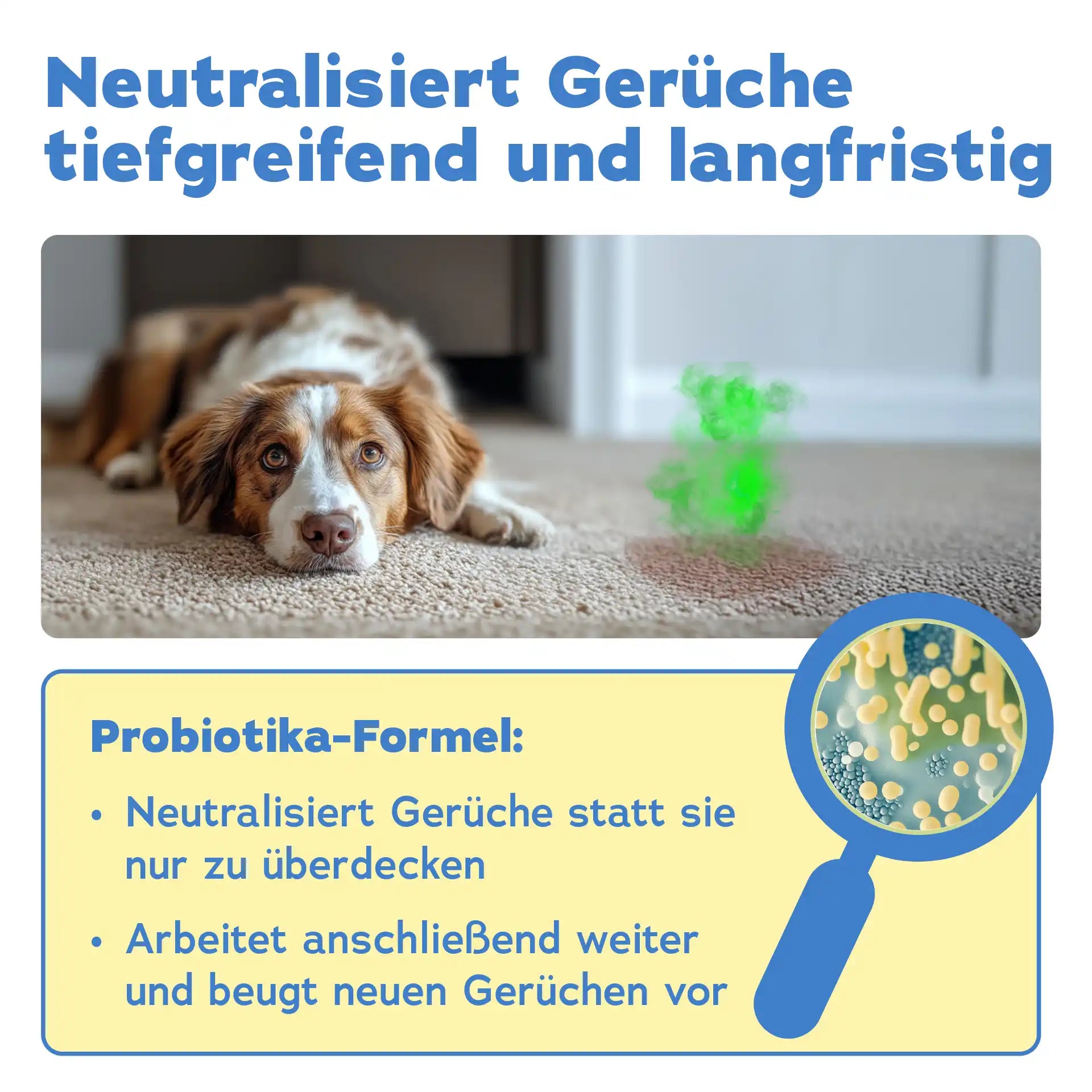 Geruchsentferner Hund + Wäschespülung (2-teilig)