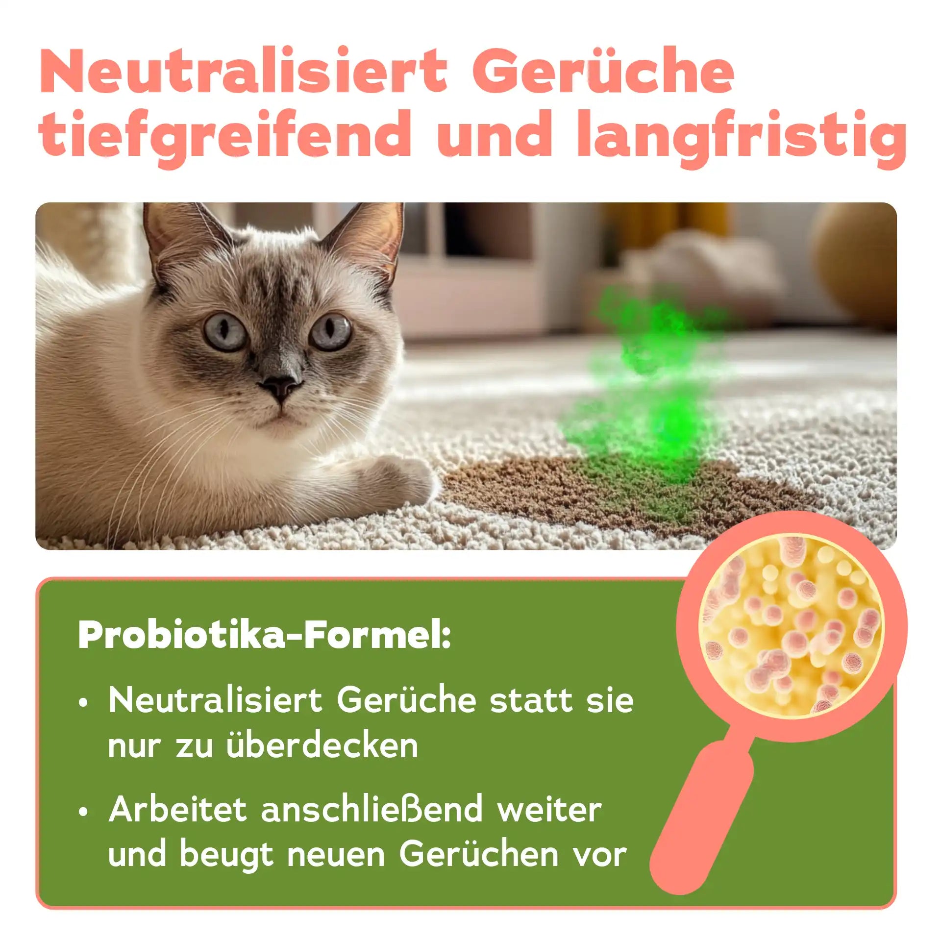 Enzymreiniger + Geruchsentferner Katze (2-teilig)