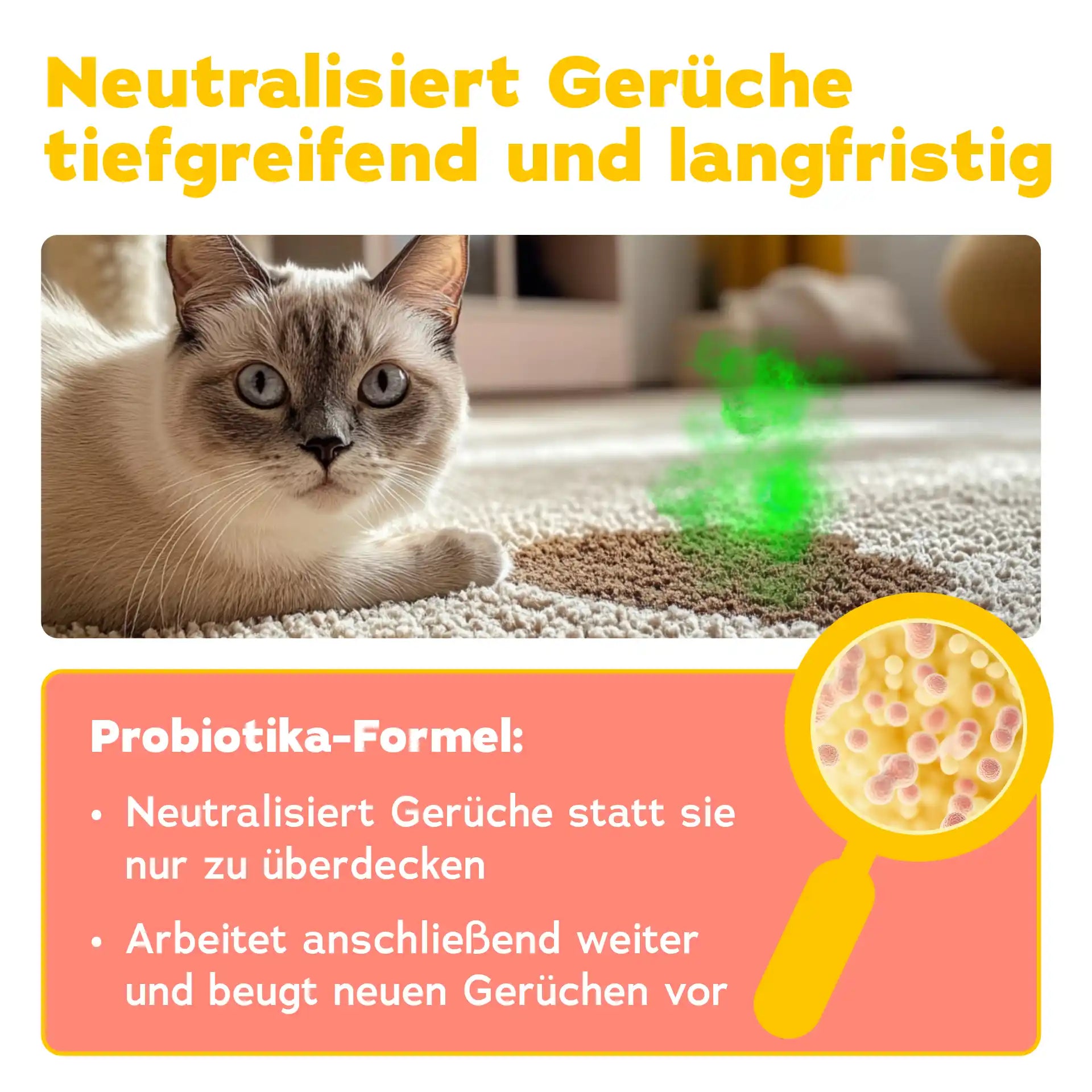 Geruchsentferner Katze + Wäschespülung (2-teilig)