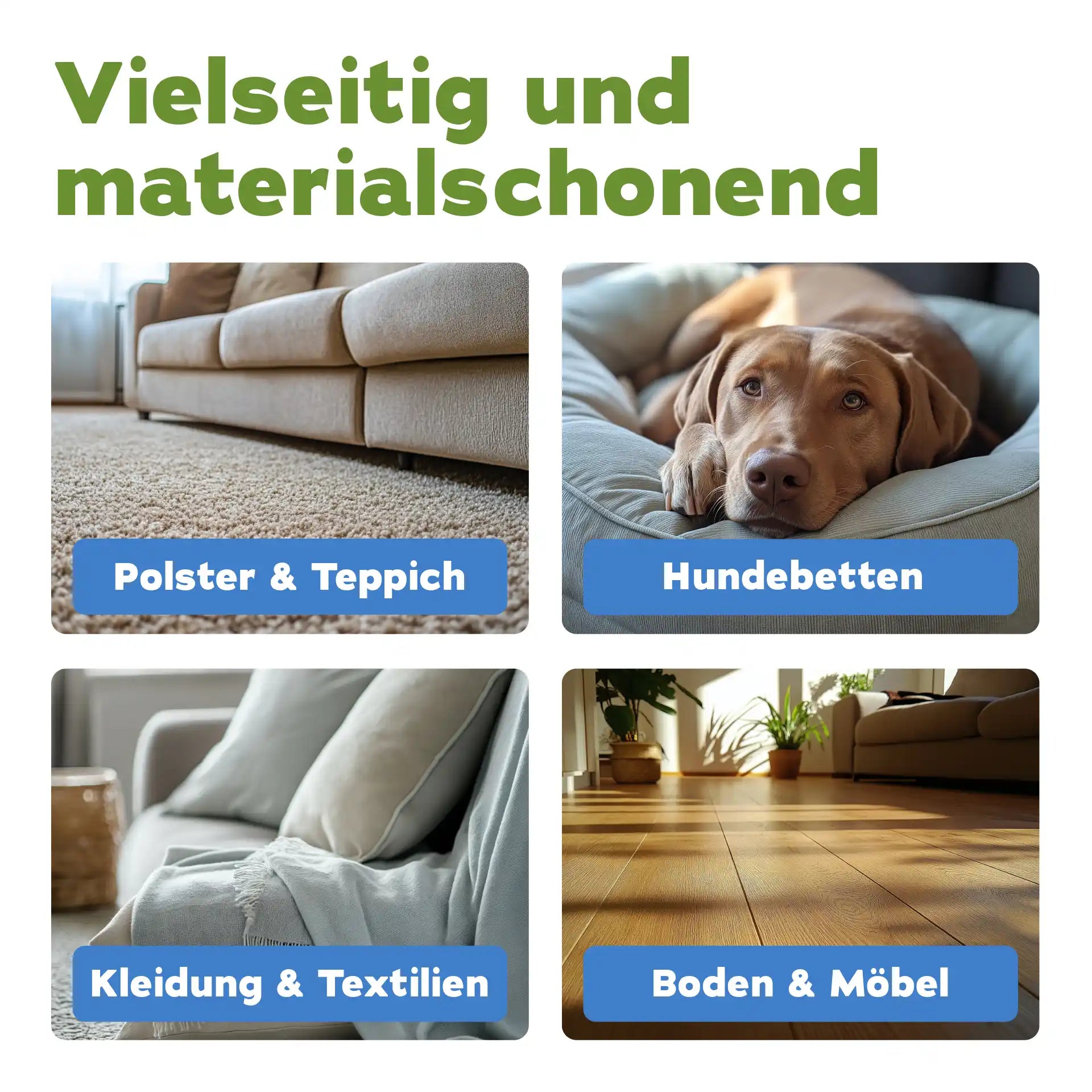Enzymreiniger + Geruchsentferner Hund (2-teilig)