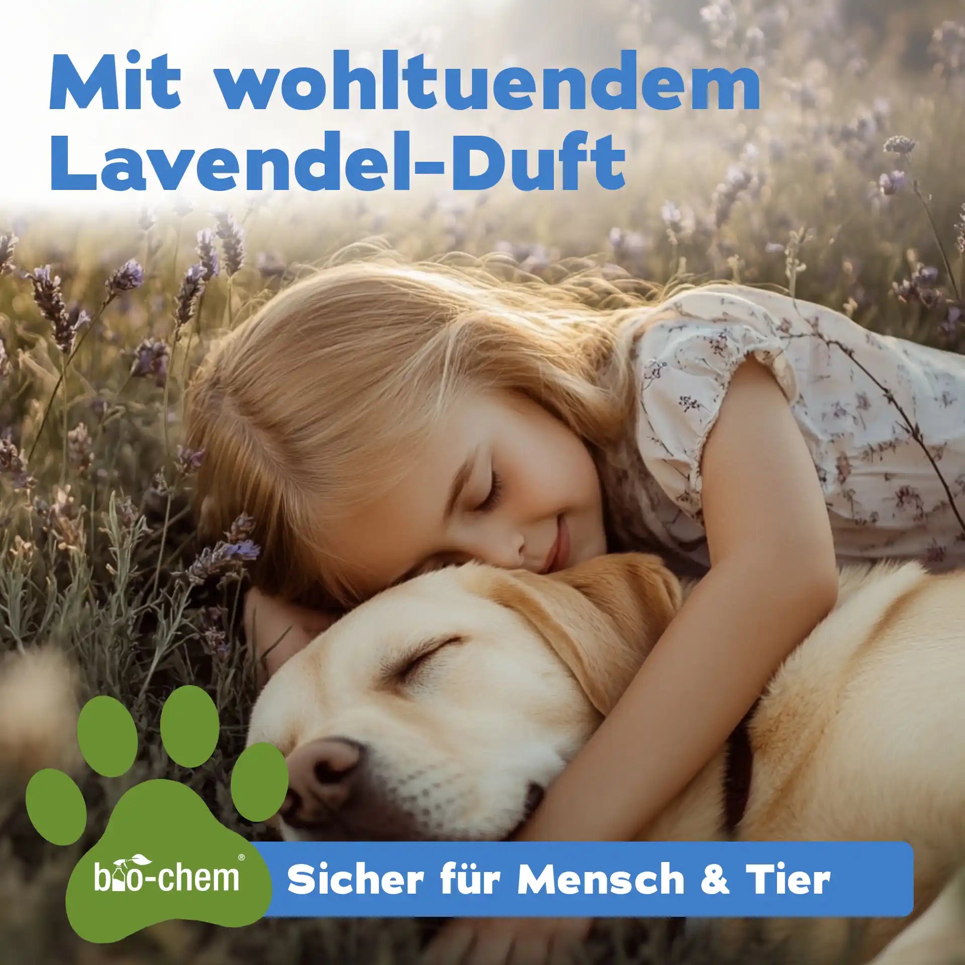 Enzymreiniger + Geruchsentferner Hund (2-teilig)