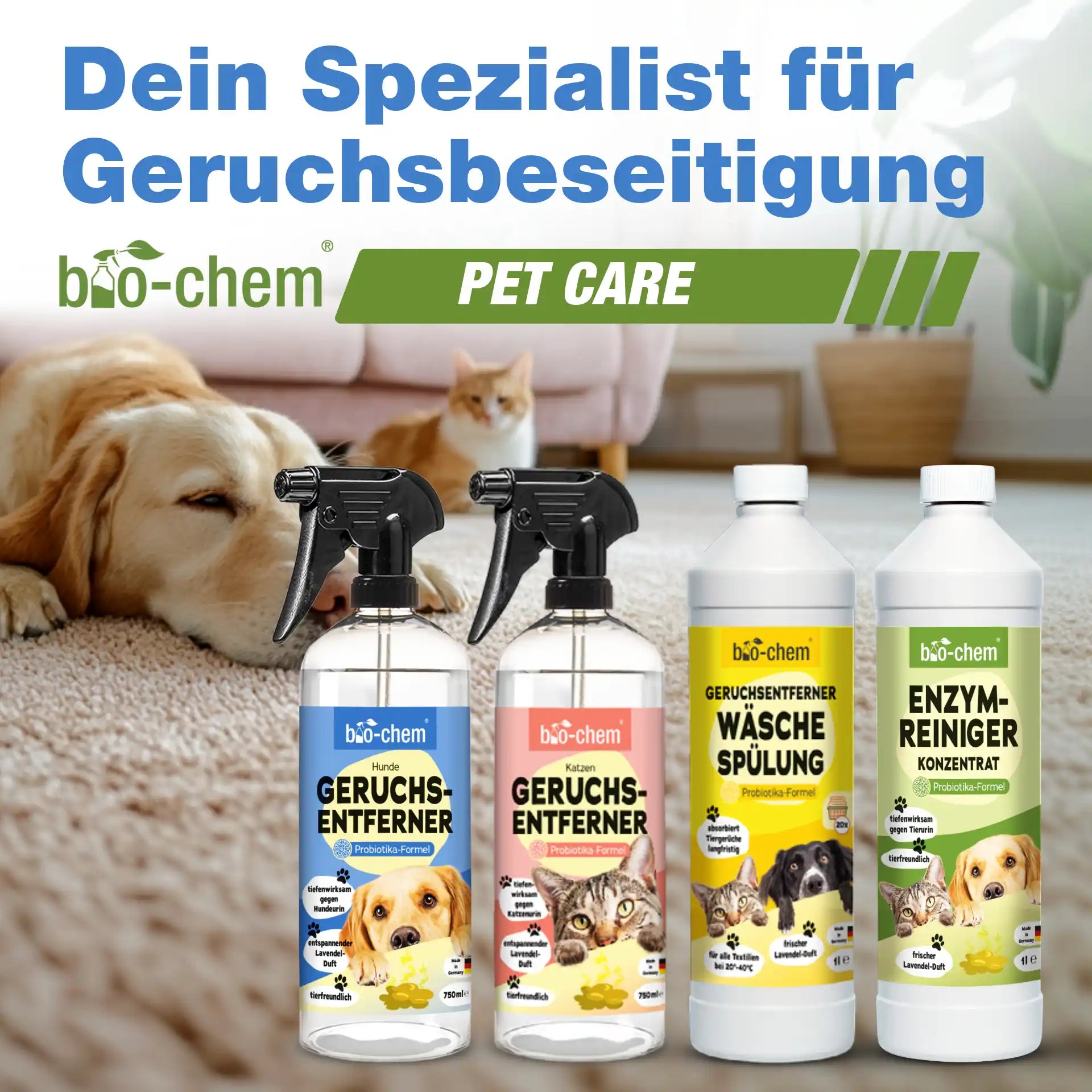 Enzymreiniger + Geruchsentferner Hund (2-teilig)
