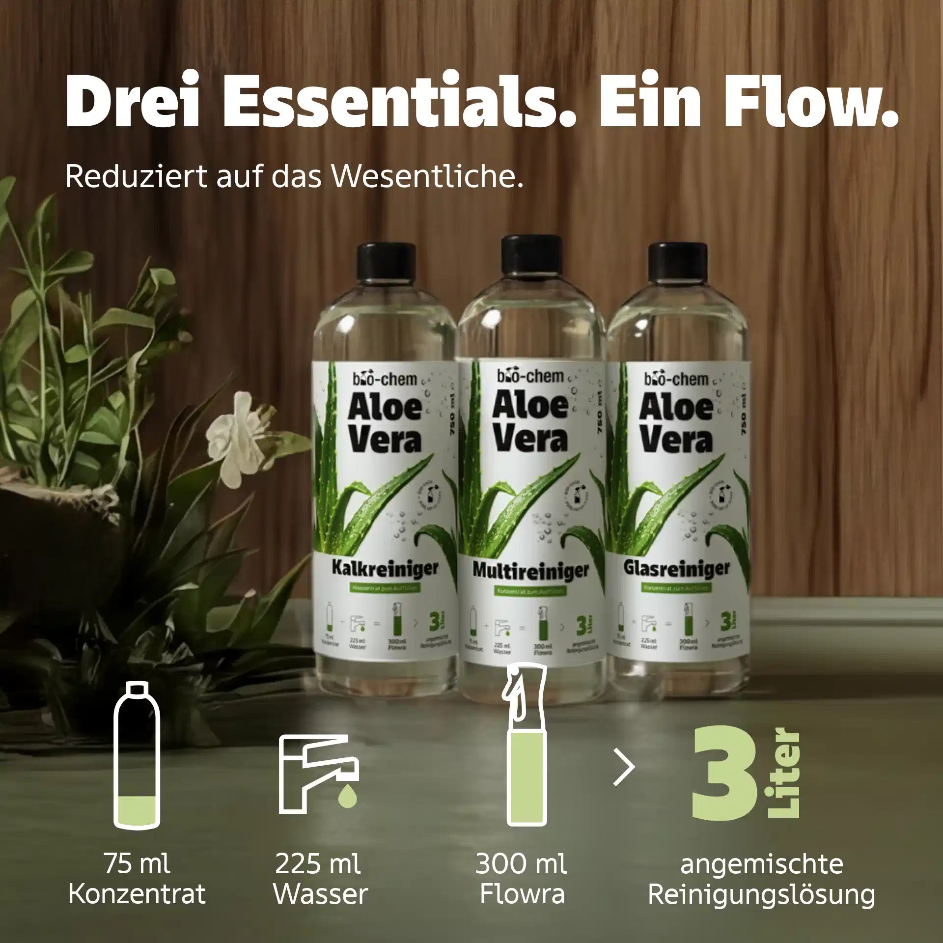aloe vera konzentrat glasreiniger