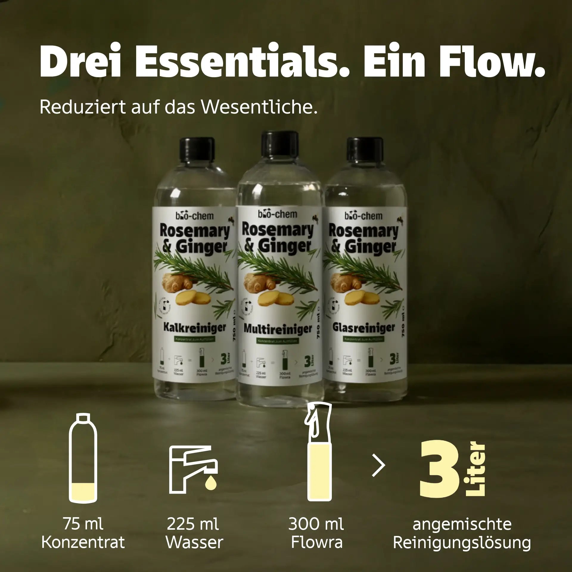 glasreiniger konzentrat anmischen rosmary