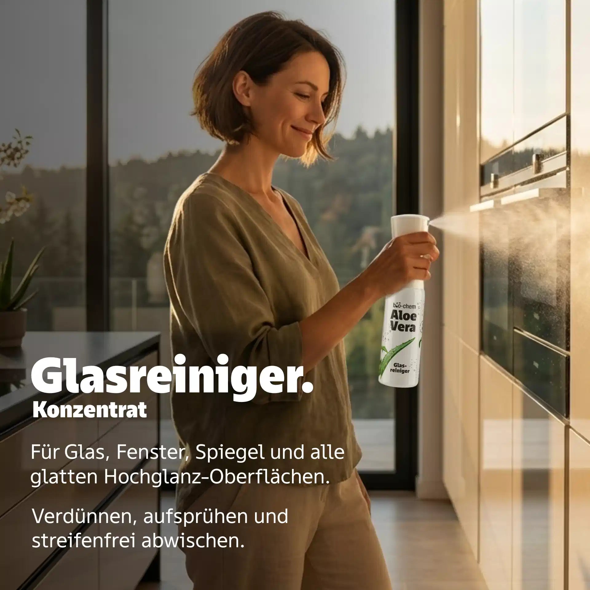 glasreiniger anwendung küche bad