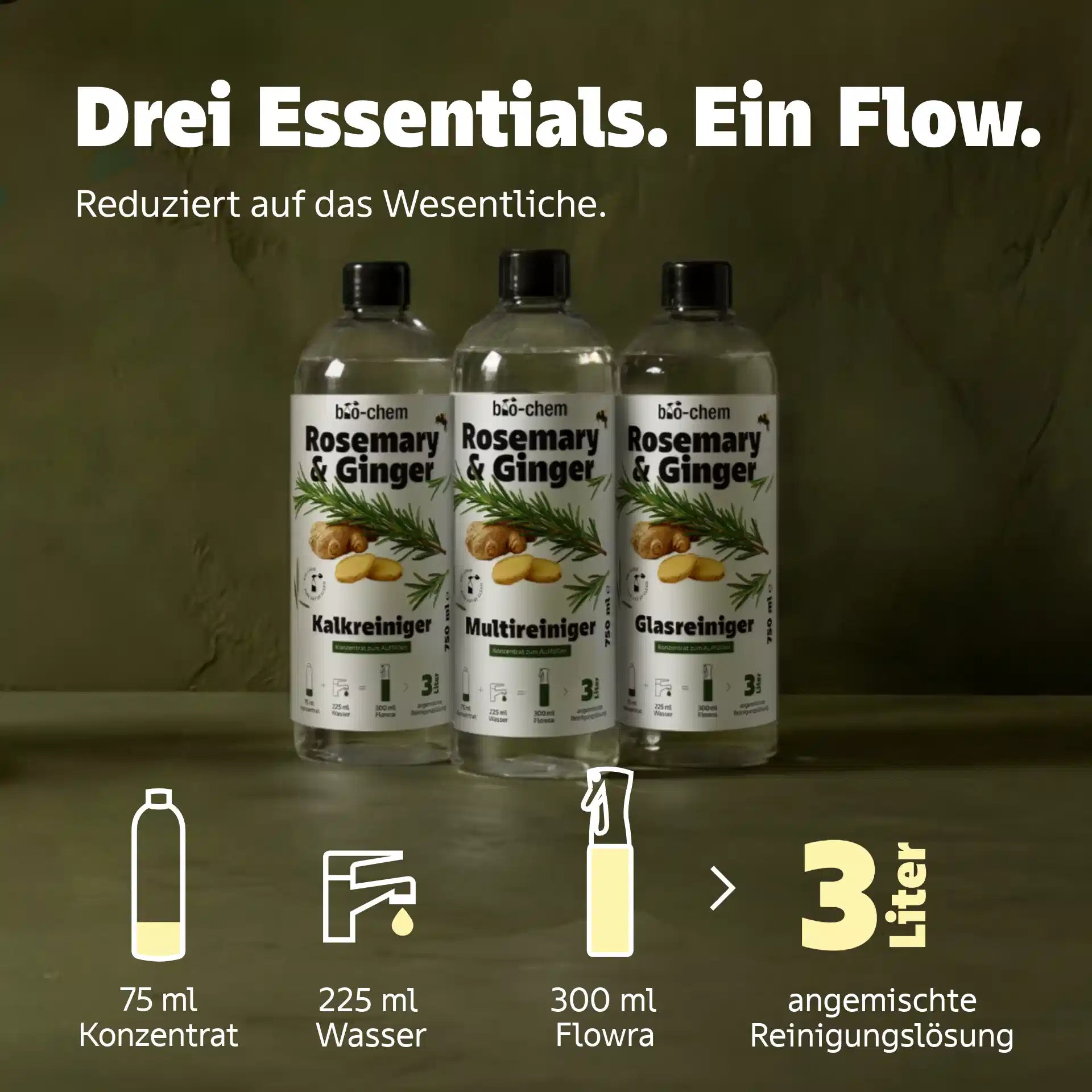 Rosemary Ginger Konzentrate