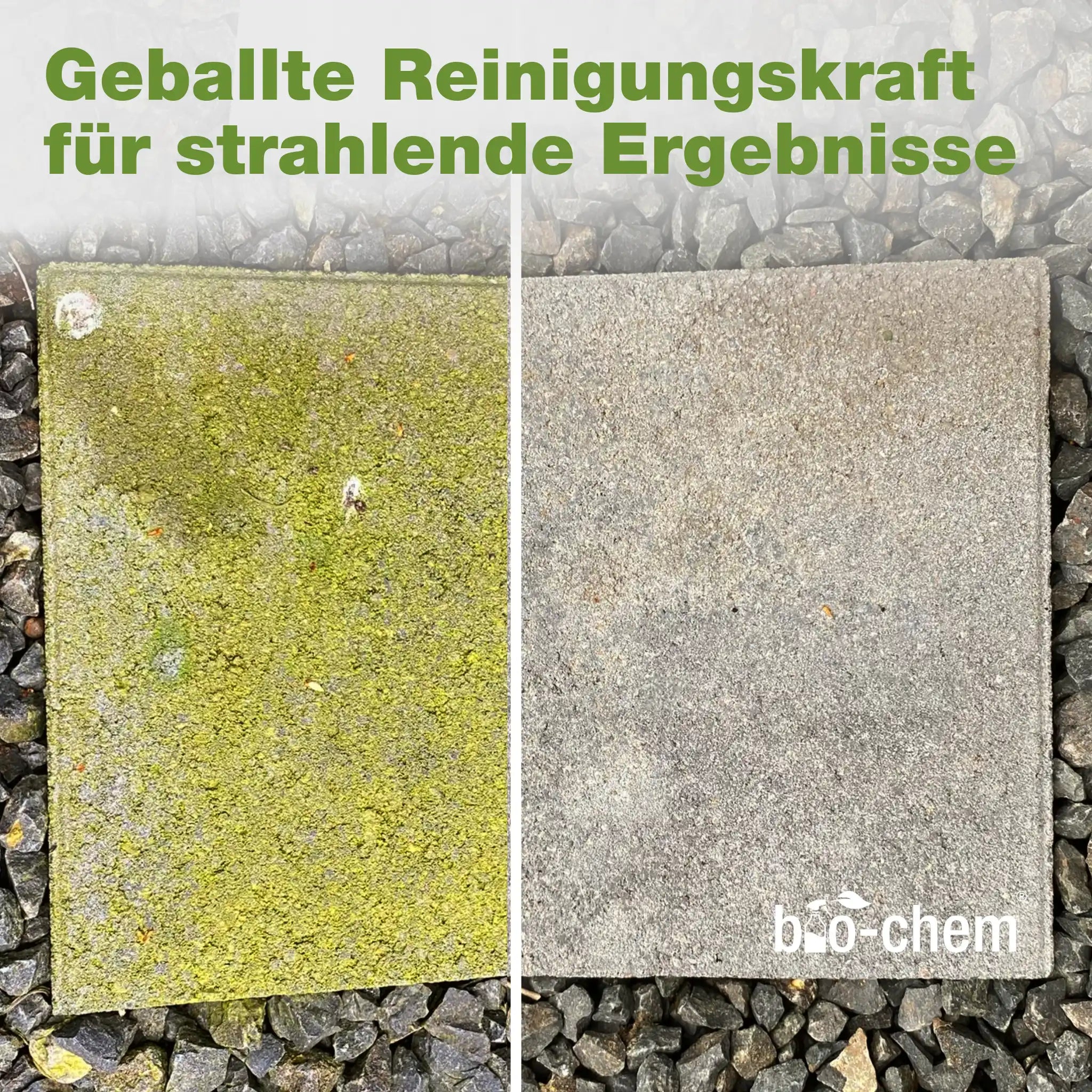 Steinreiniger & Fassadenreiniger (5 L + Schaumsprüher)