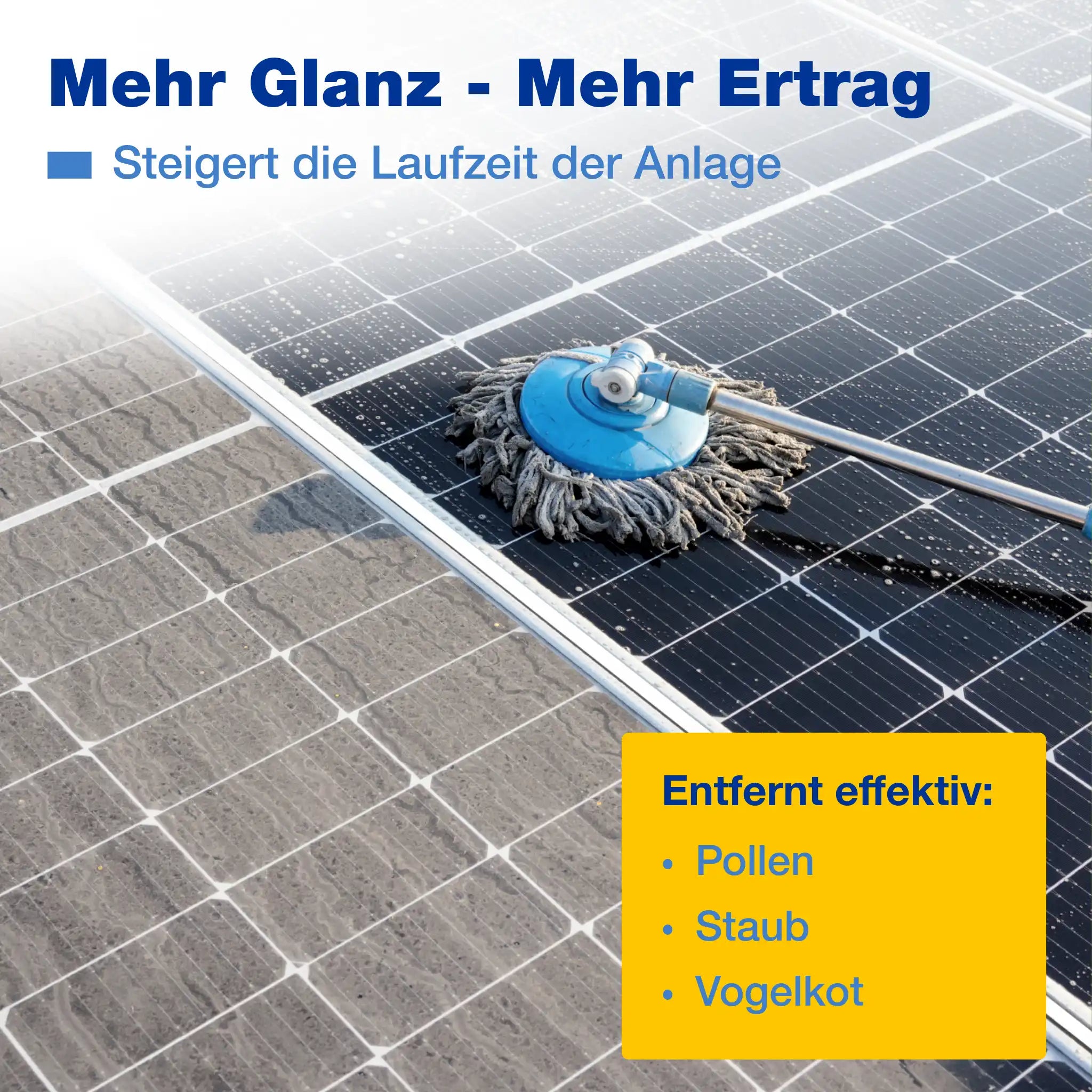 Photovoltaikreiniger (1 L + Schaumsprüher)