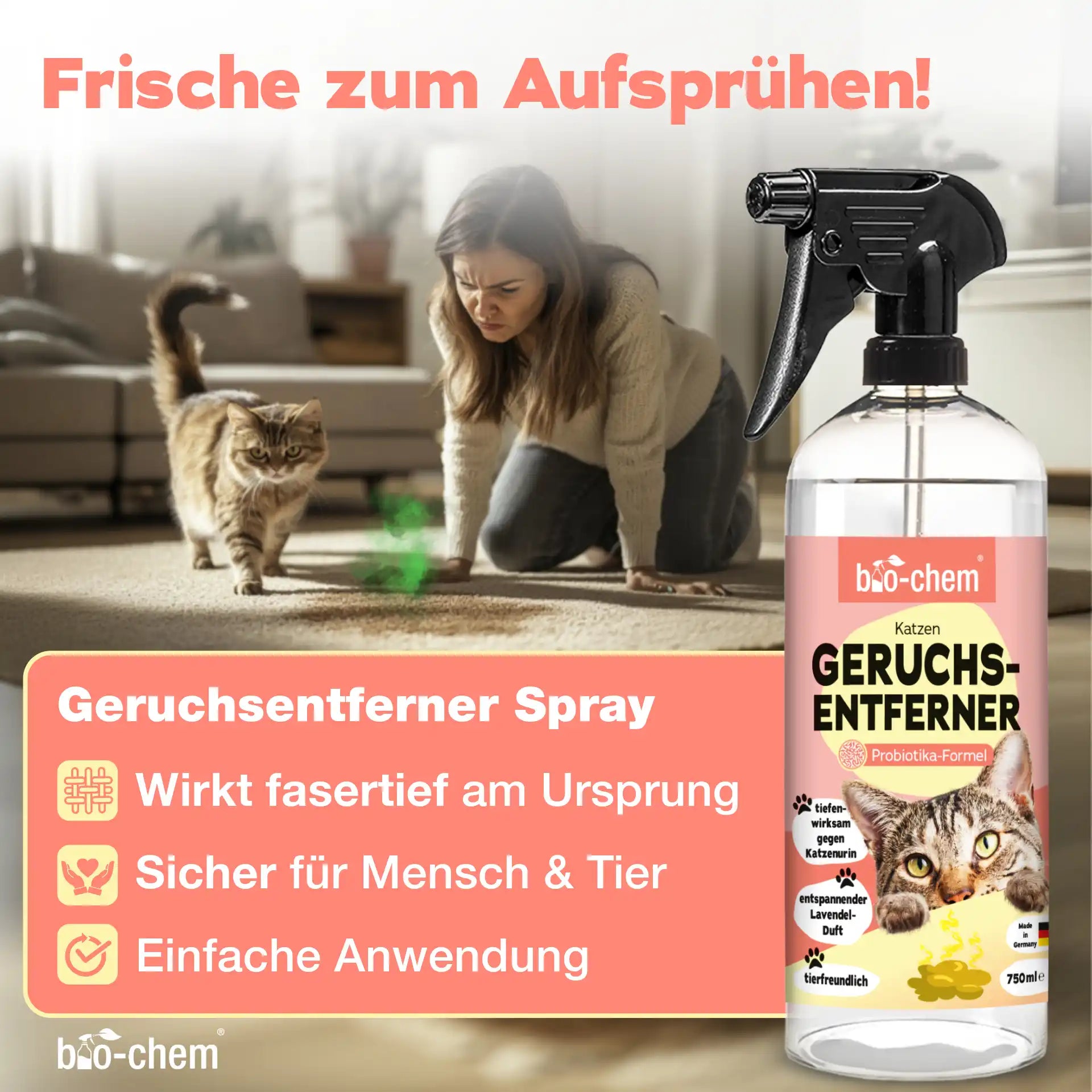 Enzymreiniger + Geruchsentferner Katze (2-teilig)