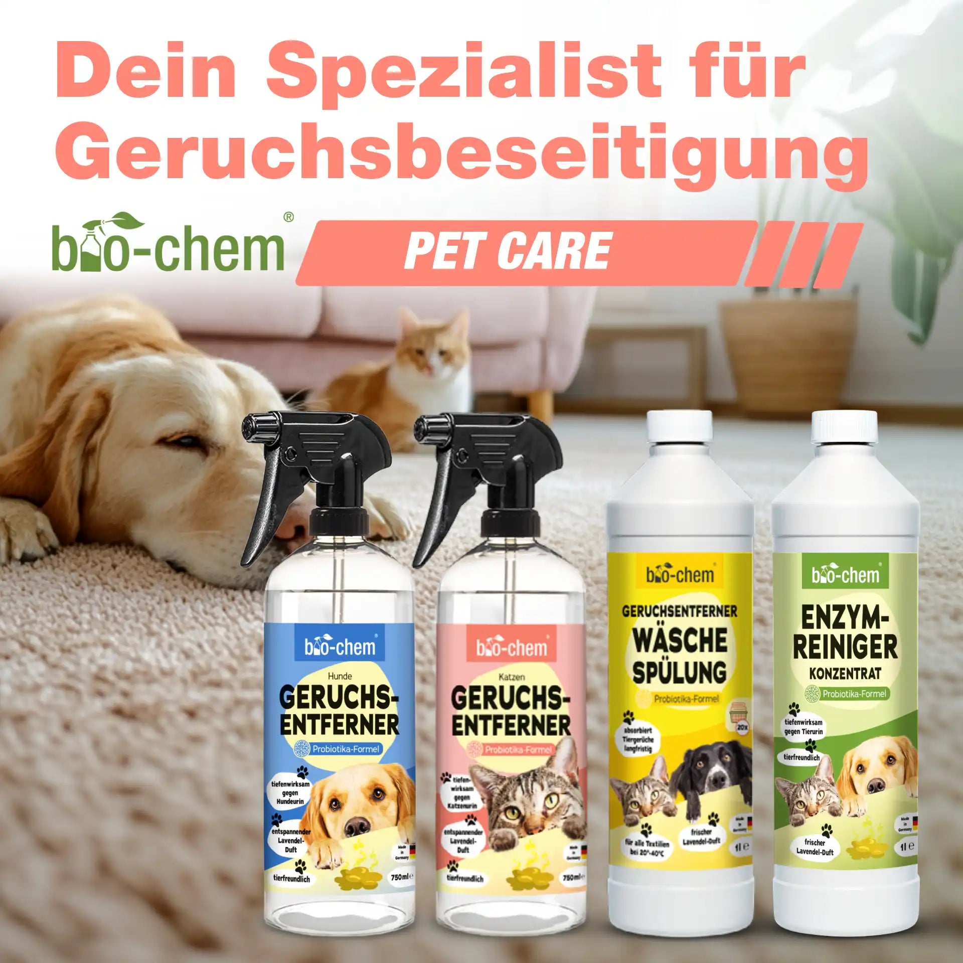 Enzymreiniger + Geruchsentferner Katze (2-teilig)