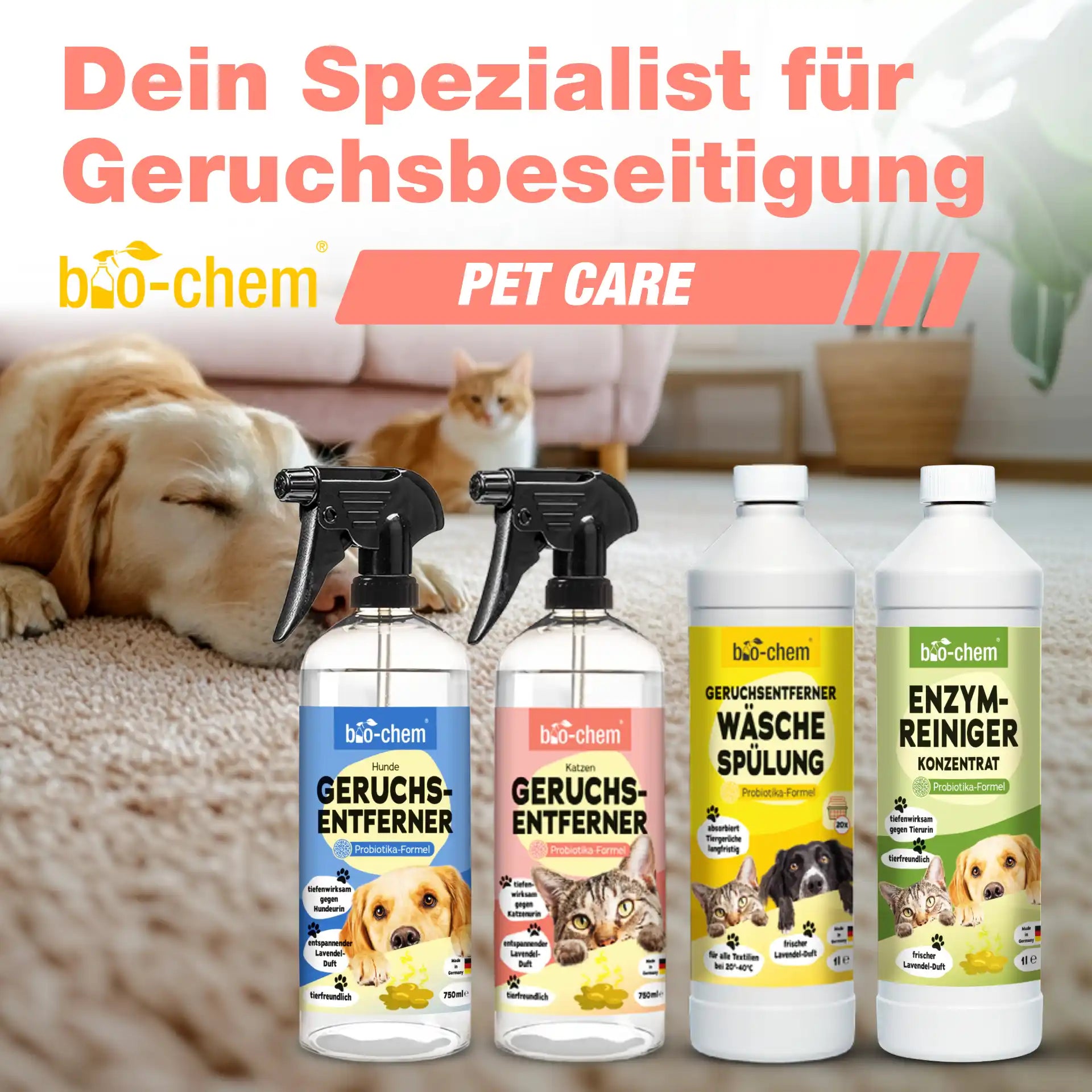 Geruchsentferner Katze + Wäschespülung (2-teilig)