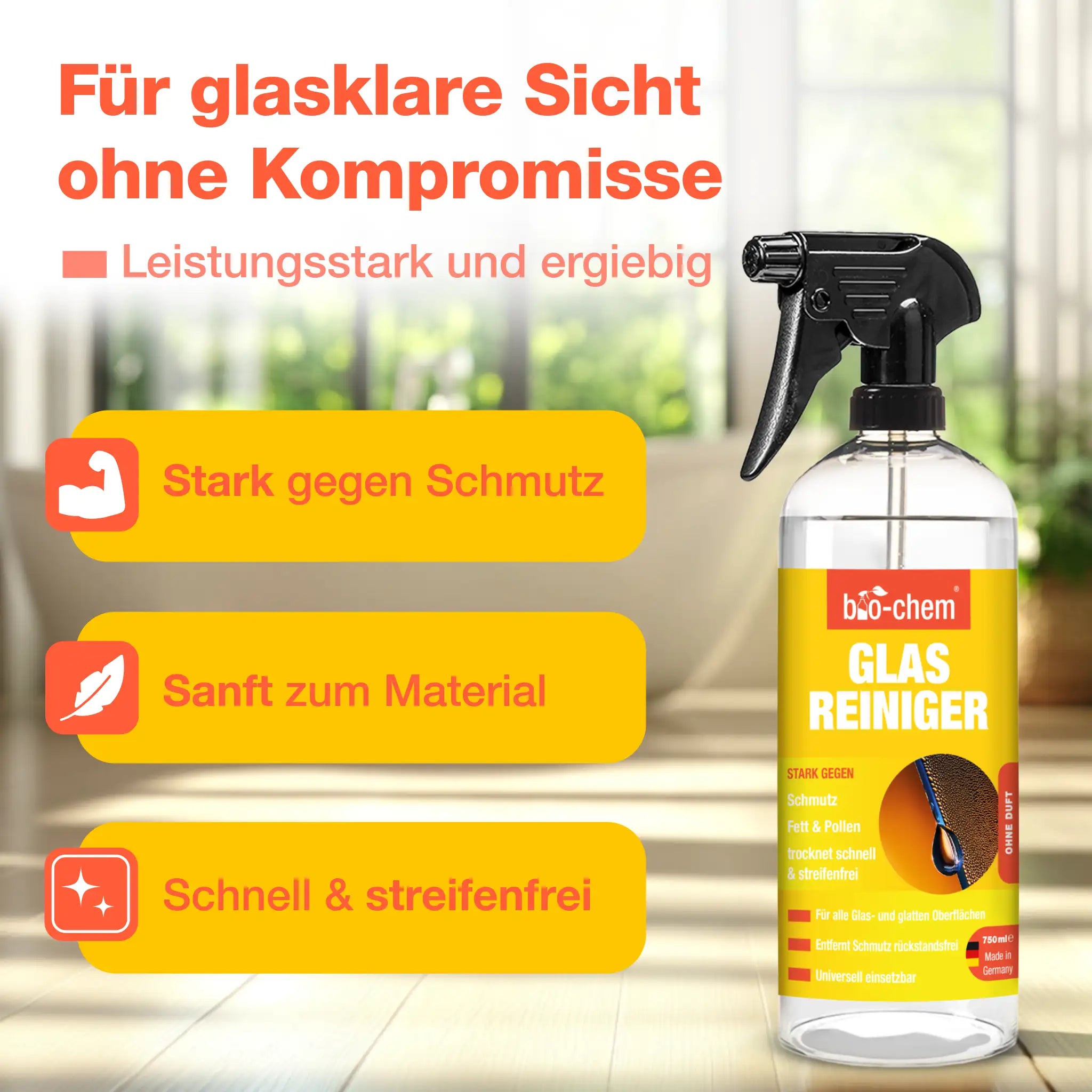 Glasreiniger (750 ML)