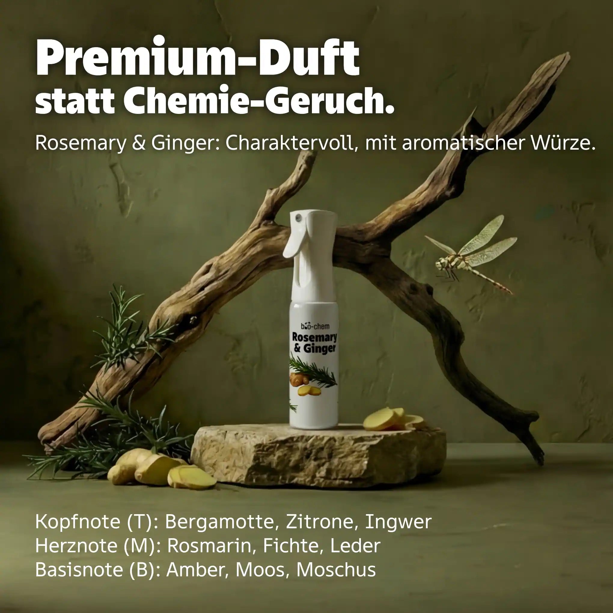 rosemary &amp; ginger duft