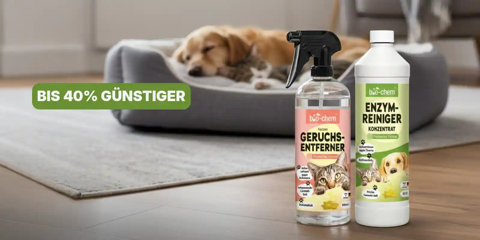 Haustiere Gerüche