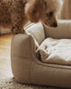 Enzymreiniger Hund