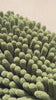 bio-chem Waschhandschuh Video