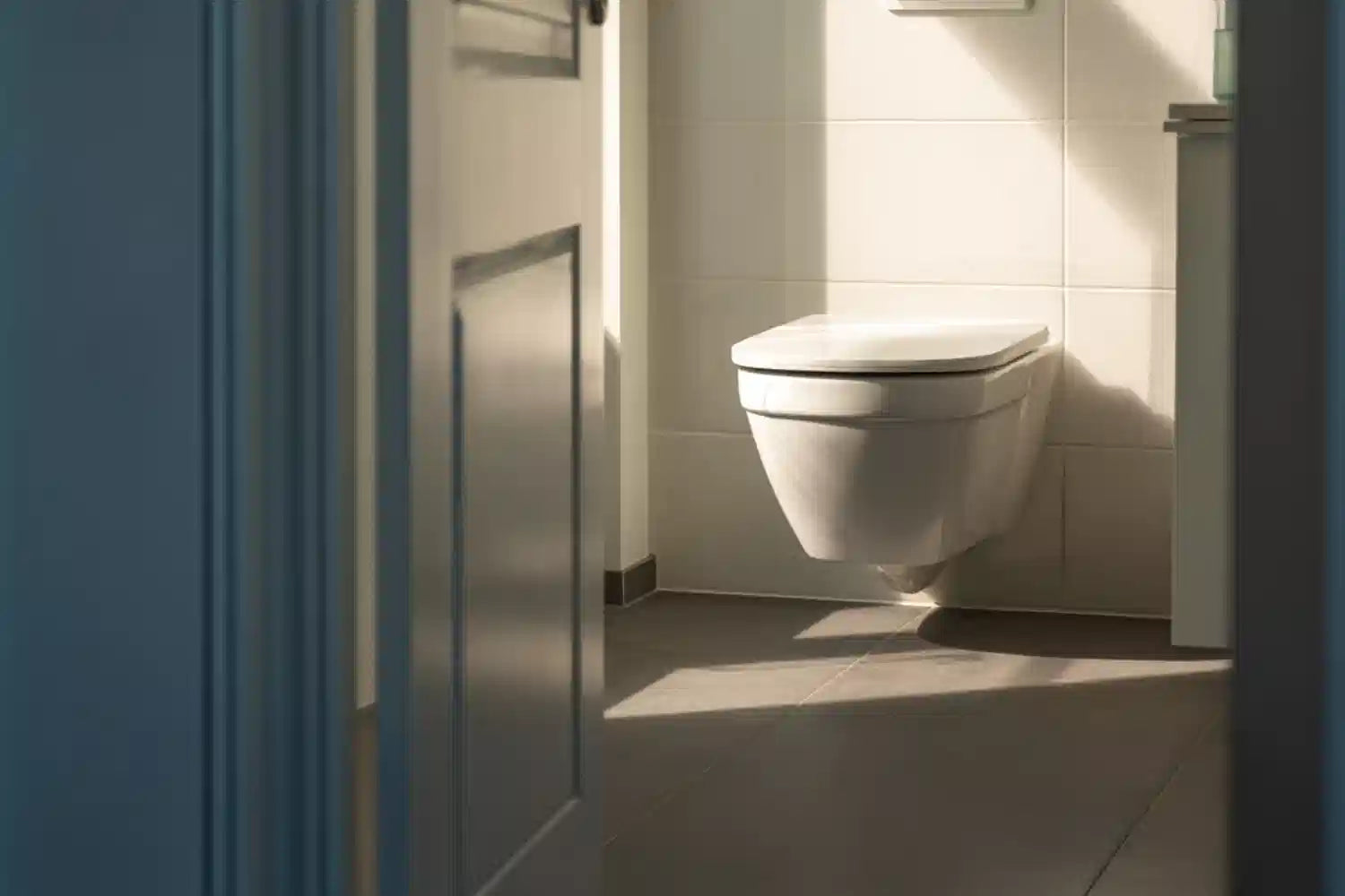 Toilettenreiniger Urinsteinentferner